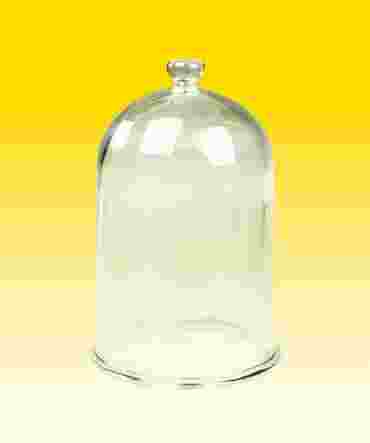 Glass Bell Jar Vacuum Chamber with Molded Glass Knob 13 L