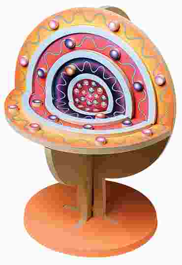 Atom Model