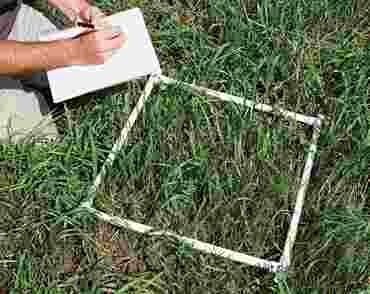 Sampling Square for Ecology and Environmental Science