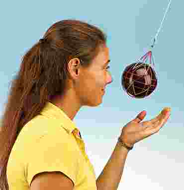 Bowling Ball Pendulum Physical Science and Physics Demonstration Kit