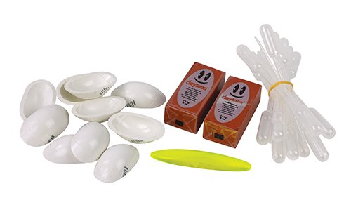 Investigating the Rattleback Bowl Physical Science and Physics Laboratory Kit