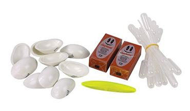 Investigating the Rattleback Bowl Physical Science and Physics Laboratory Kit