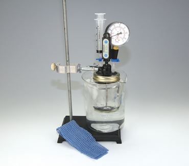 Pressure vs. Temperature Gas Law Apparatus