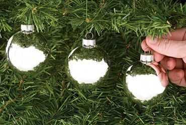 Silver Holiday Ornaments Laboratory Kit for Chemistry