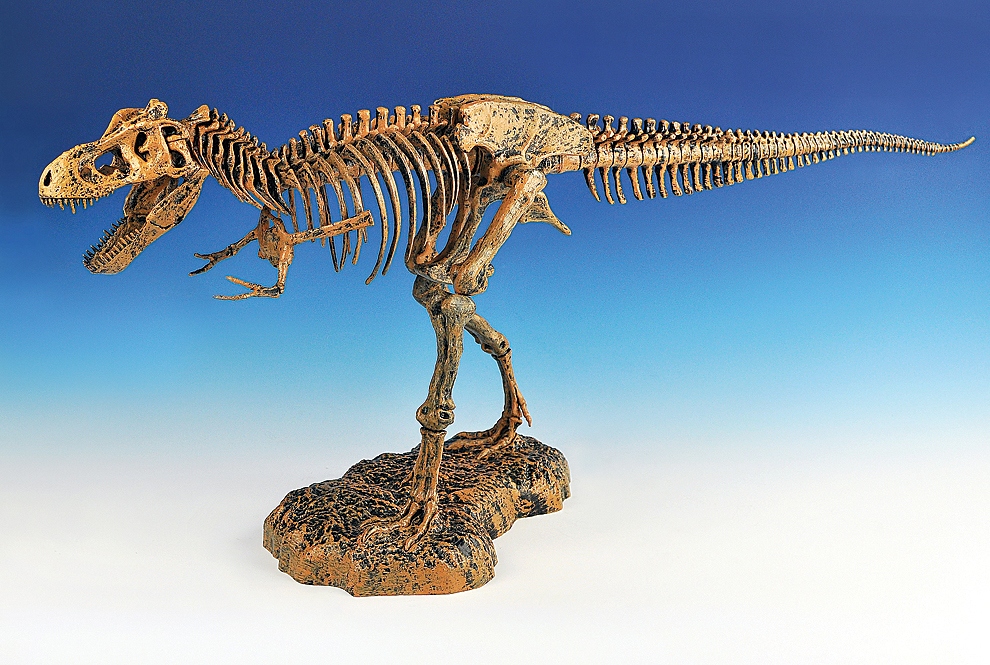 T-Rex Skeleton