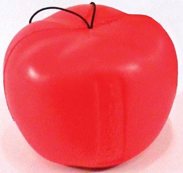 Newton's Apple Model for Physical Science and Physics
