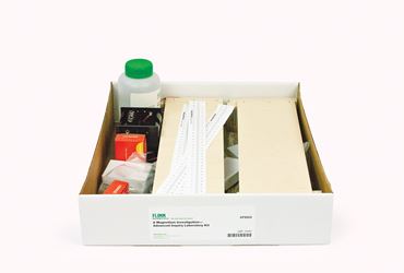 magnets, magnetic, magnetism