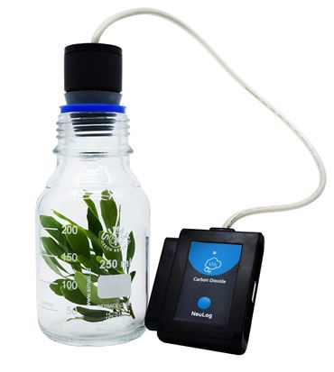 CO2, carbon dioxide, carbon dioxide concentration