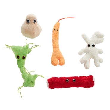 Giant Microbe® Body Cells Gift Box