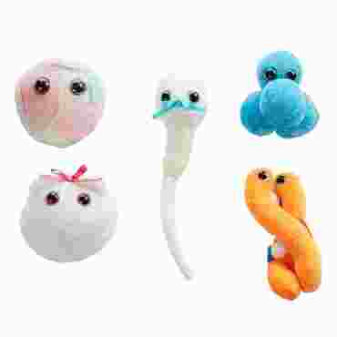 Giant Microbe® Life's Origins Gift Box