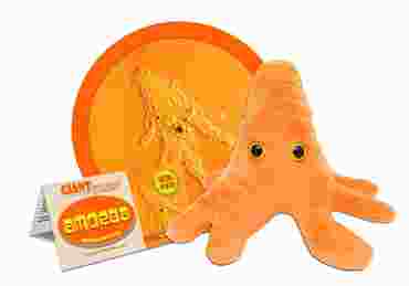 Giant Microbe® Orange Amoeba
