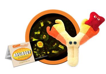 Giant Microbe® Antibody