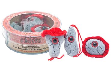 Giant Microbe® Brain-Eating Amoeba Petri Dish