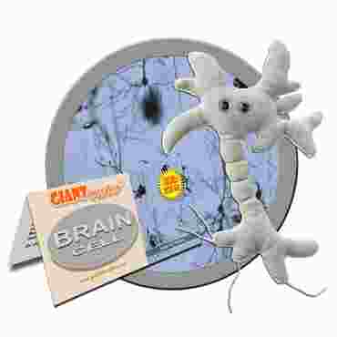 Giant Microbe® Brain Cell