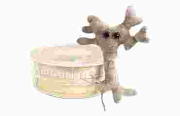 Giant Microbe® Brain Cell