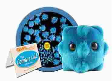 Giant Microbe® Common Cold