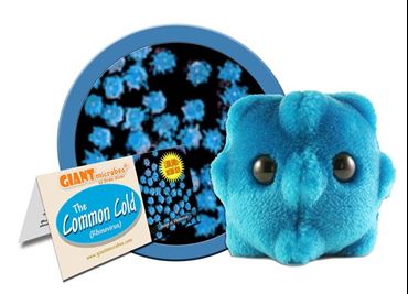 Giant Microbe® Common Cold