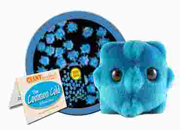 Giant Microbe® Common Cold