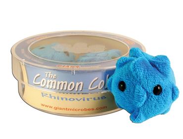 Giant Microbe® Common Cold