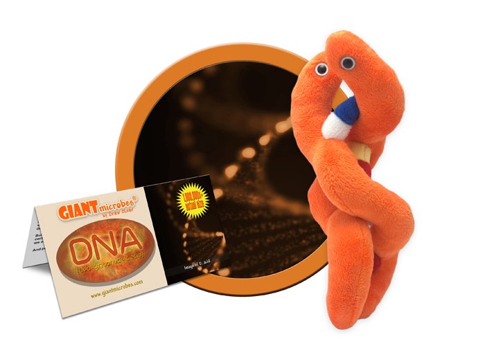 Giant Microbe® DNA