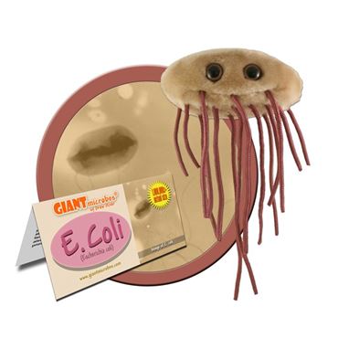 Giant Microbe® E. coli