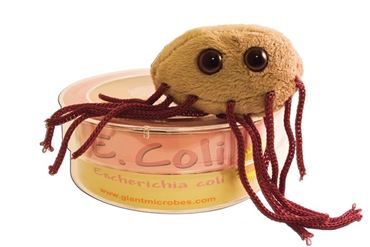 Giant Microbe® E. coli