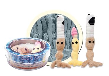 Giant Microbe® Eye, Rod & Cone Petri Dish