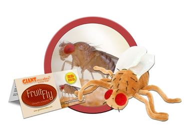 Giant Microbe® Fruit Fly