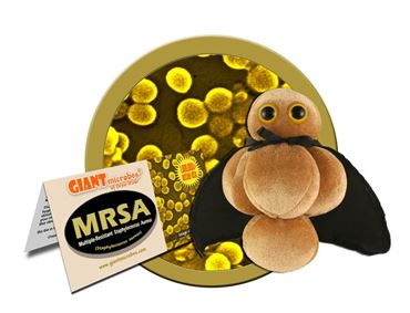 Giant Microbe® MRSA