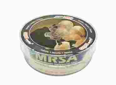 Giant Microbe® MRSA