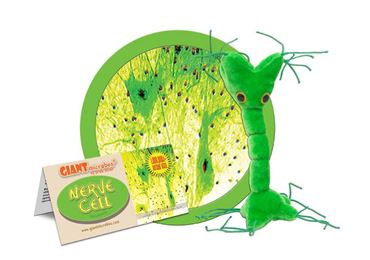 Giant Microbe® Nerve Cell
