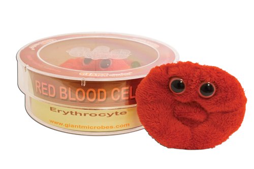 giant microbes red blood cell