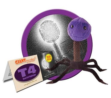 Giant Microbe® T4