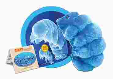 Giant Microbe® Waterbear