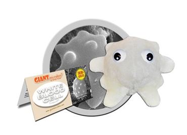 Giant Microbe® White Blood Cell Keychain