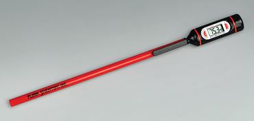 Flinn Digital Thermometer