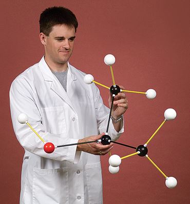 Organic Chemistry Demonstration Size Molecular Model Set