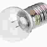 Miniature Light Bulb, 1.2 V and 0.22 A