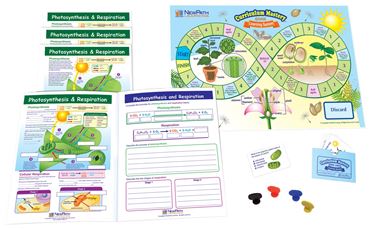 Photosynthesis & Respiration - NewPath Science Learning Center