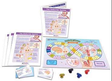 The Endocrine System - NewPath Science Learning Center