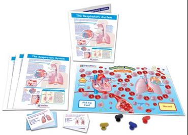 The Respiratory System - NewPath Science Learning Center
