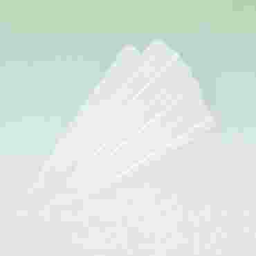 Micropipet Tips