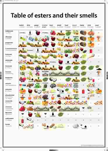 Esters and Their Smells Poster