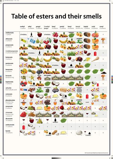 Esters and Their Smells Poster
