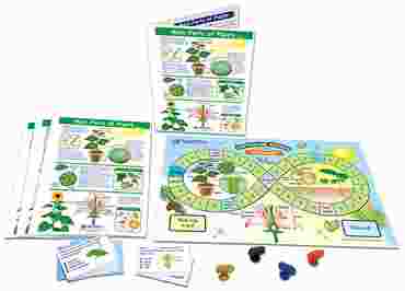 Main Parts of Plants—NewPath Science Learning Center