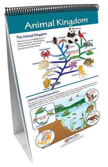 The Six Kingdoms—NewPath Science Flip Chart Set