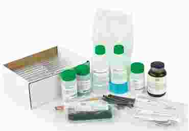 Metal, Nonmetal or Metalloid? Chemistry Laboratory Kit