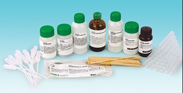 Families of Elements, Alkaline Earth Metals and Halides Chemistry Laboratory Kit