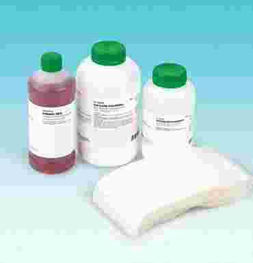 Observation and Experiment Kit - Introduction to the Scientific Method