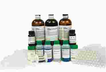 Food Analysis and Testing Some Common Foods Laboratory Kit for Chemistry and Consumer Science